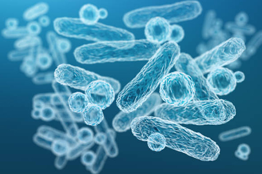 微生物製剤のイメージ